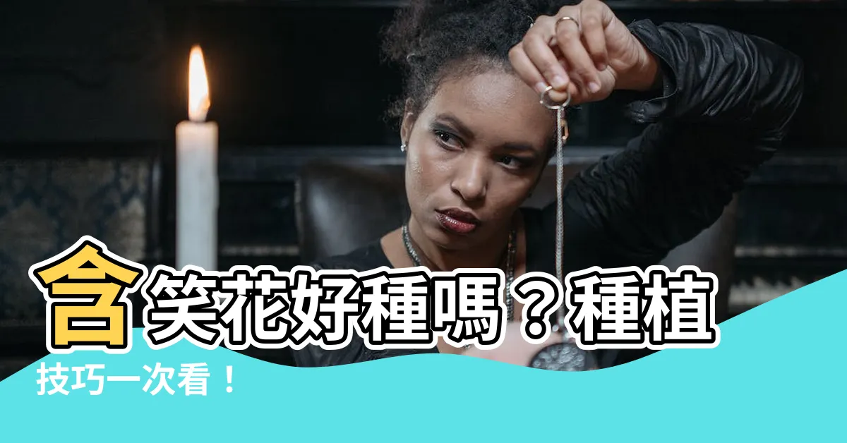 【含笑花好種嗎】含笑花好種嗎？種植技巧一次看！