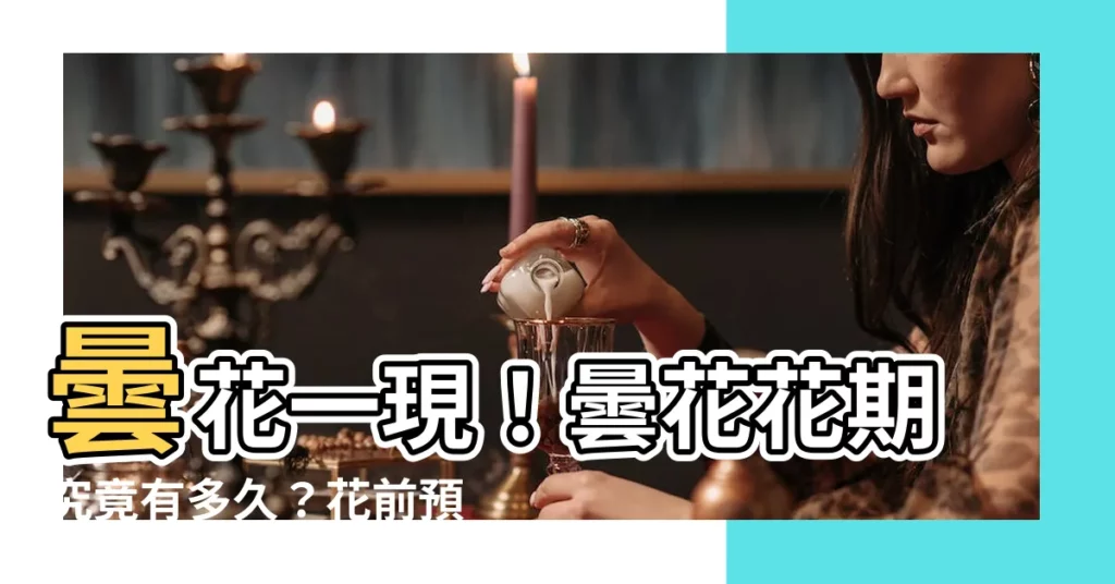 【曇花花期】曇花一現！曇花花期究竟有多久？花前預兆一次看