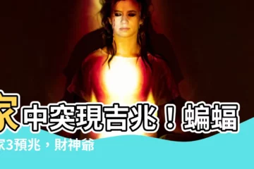 【蝙蝠入家】家中突現吉兆！蝙蝠入家3預兆，財神爺報到！