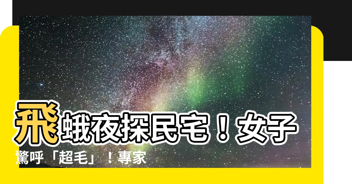 【一隻飛蛾入屋】飛蛾夜探民宅！女子驚呼「超毛」！專家教你驅趕不速之客