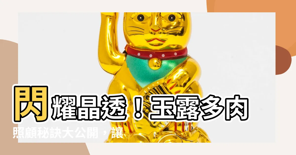 【玉露多肉照顧】閃耀晶透！玉露多肉照顧秘訣大公開，讓你輕鬆養出飽滿水亮