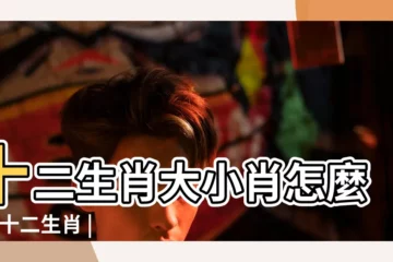 【一肖生肖大小】十二生肖大小肖怎麼分 |十二生肖 |十二生肖的大小肖 |