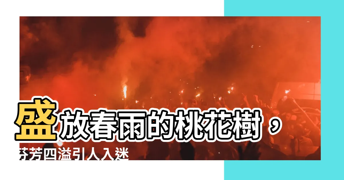 【桃花樹】盛放春雨的桃花樹，芬芳四溢引人入迷