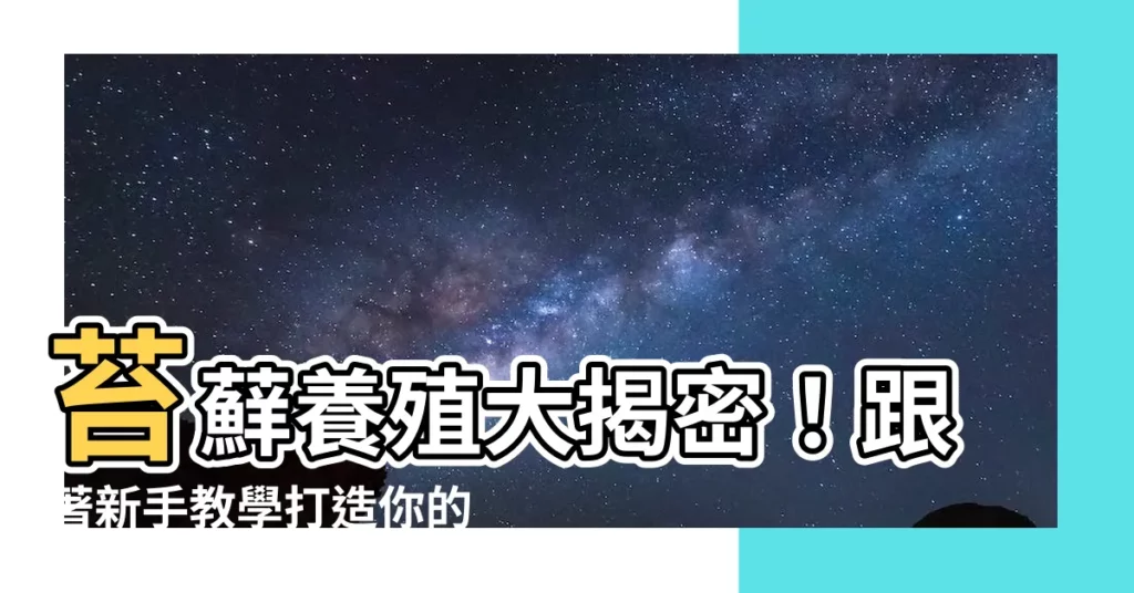 【如何養苔蘚】苔蘚養殖大揭密！跟著新手教學打造你的綠色小花園