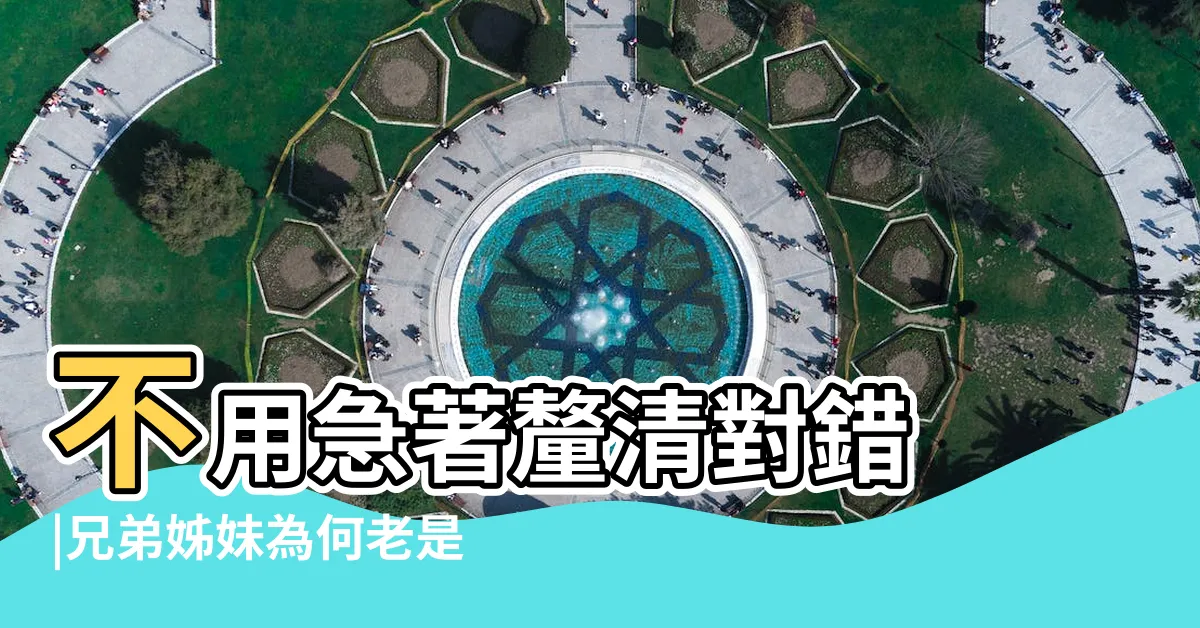 【兄弟吵架】不用急著釐清對錯 |兄弟姊妹為何老是愛吵架 |兄弟吵架怎麼辦 |