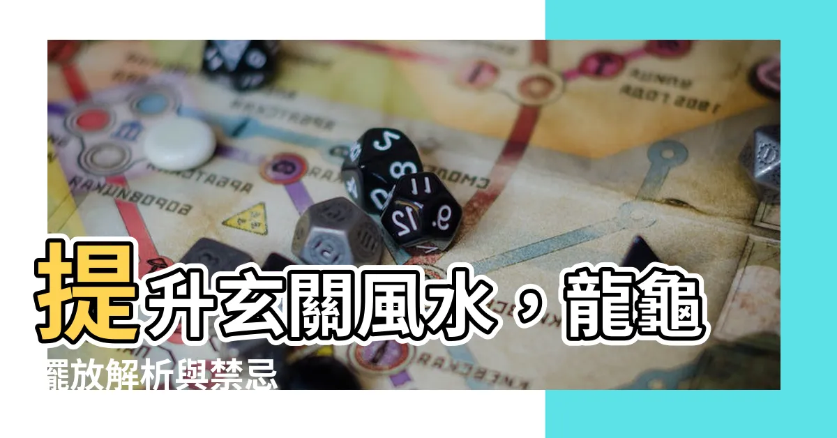 【龍龜擺放玄關】提升玄關風水，龍龜擺放解析與禁忌