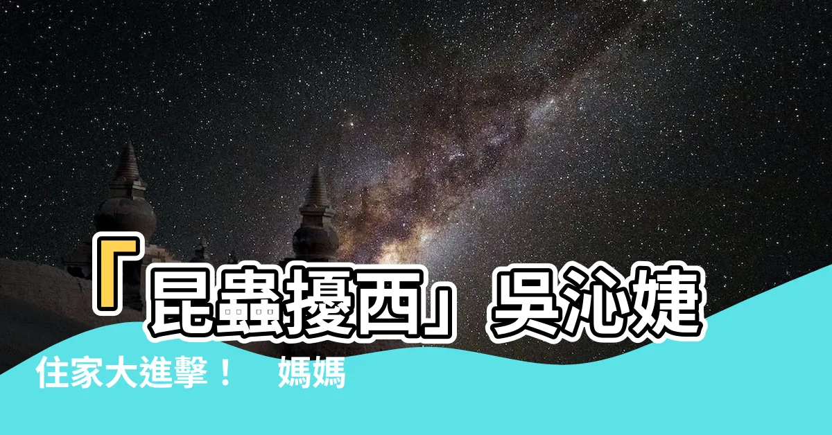 【昆蟲擾西住家】「昆蟲擾西」吳沁婕住家大進擊！　媽媽陪戰：愛讓孩子不同
