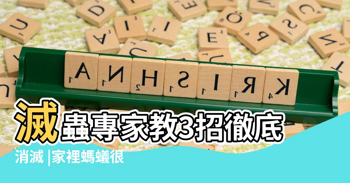【房間突然很多螞蟻】滅蟲專家教3招徹底消滅 |家裡螞蟻很多怎麼辦 |專家分享4招驅蟲妙方 |