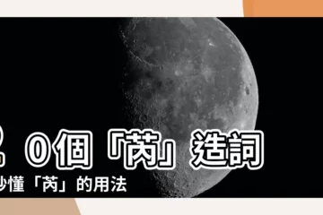 【芮造詞】20 個「芮」造詞，秒懂「芮」的用法，成語、解釋一次搞懂！