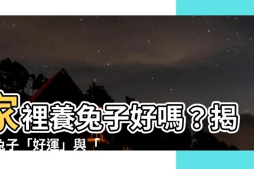 【家裡養兔子好嗎】家裡養兔子好嗎？揭開兔子「好運」與「邪門」的迷思
