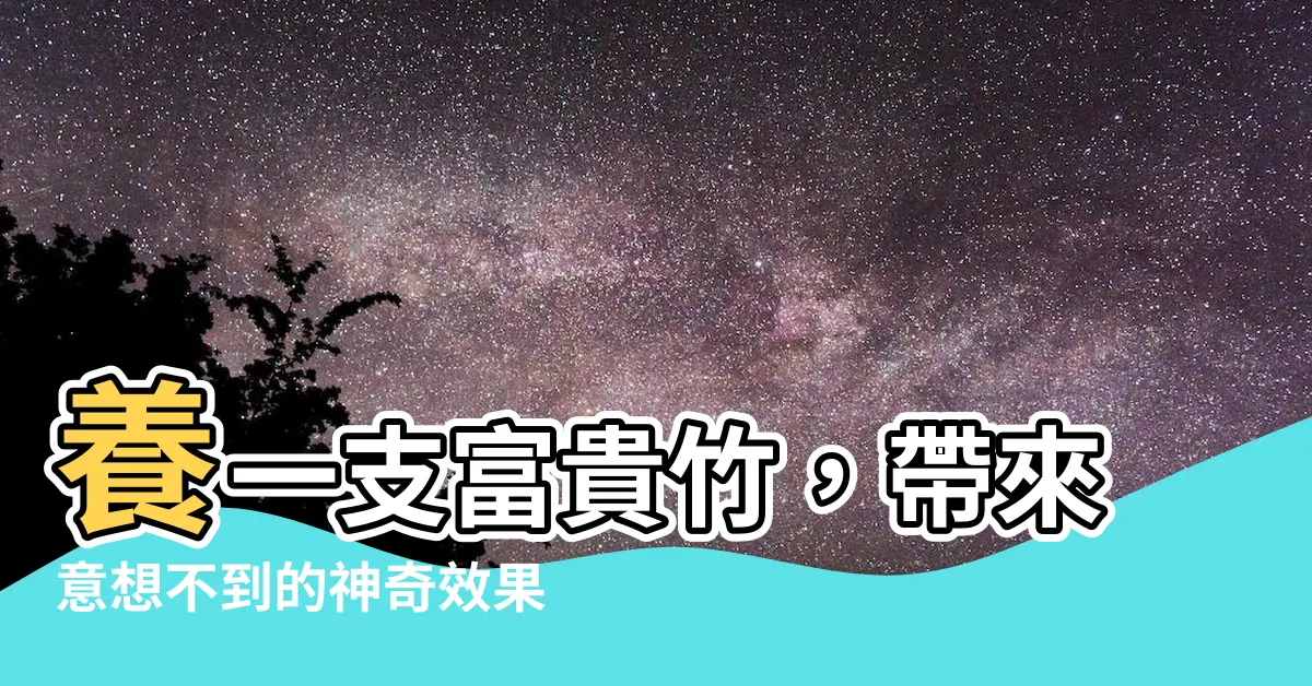 【一支富貴竹】養一支富貴竹，帶來意想不到的神奇效果！