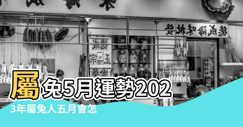 屬兔5月運勢2023年屬兔人五月會怎麼樣 |屬兔受人追捧 |屬兔人2023年5月份運勢完整版 |【五月份兔的運勢】