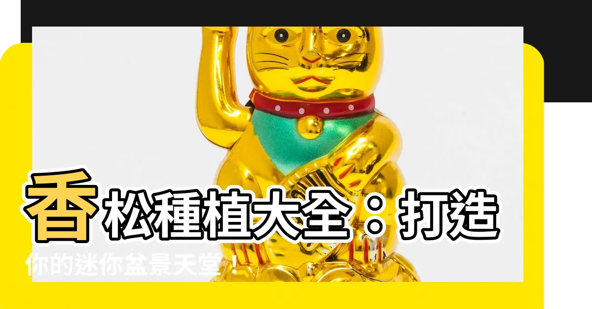 【香松種植】香松種植大全：打造你的迷你盆景天堂！
