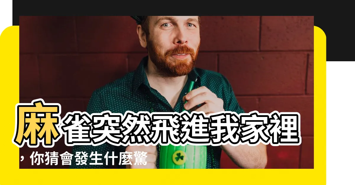 【麻雀來家裡】麻雀突然飛進我家裡，你猜會發生什麼驚奇？