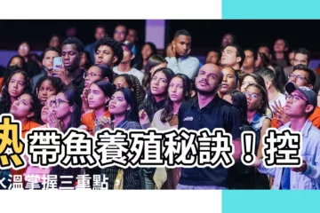 【熱帶魚水温】熱帶魚養殖秘訣！控制水温掌握三重點，讓魚兒健康活潑