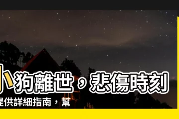 【小狗死了】小狗離世，悲傷時刻，提供詳細指南，幫助您告別愛寵