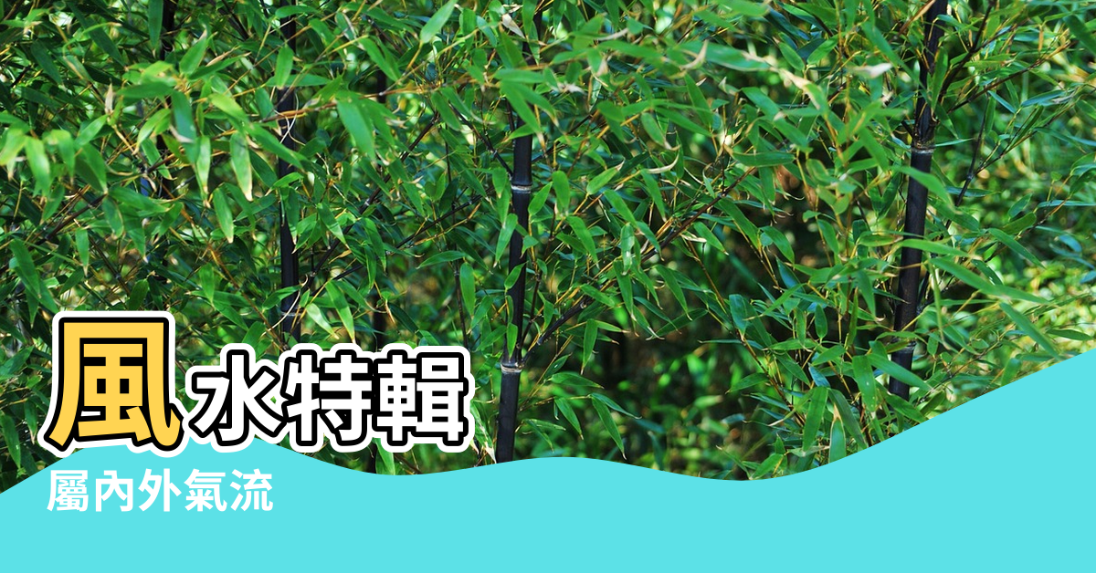 【大門外風水】風水特輯 |屬內外氣流 |不動產風水13 |
