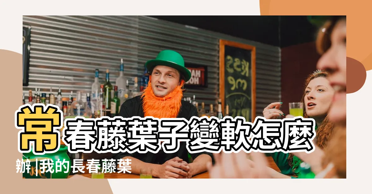 【常春藤葉子下垂】常春藤葉子變軟怎麼辦 |我的長春藤葉子下垂了 |常春藤葉子一碰就掉怎麼辦 |