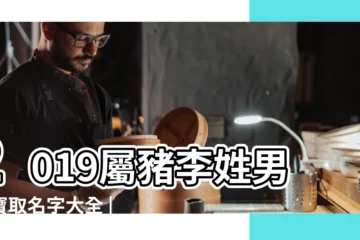 【2019豬年李姓男寶名字】2019屬豬李姓男寶寶取名字大全 |2019豬寶寶男孩最霸氣的名字 |2019豬寶寶男孩最霸氣的名字 |