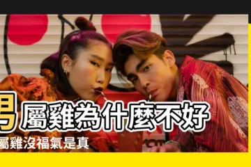 【為什麼男孩屬雞不好】男屬雞為什麼不好 |男屬雞沒福氣是真的假的為什麼説男屬雞不好 |為什麼個個都説屬雞男孩的命不好 |