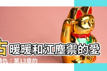 【古暖暖江塵禦】古暖暖和江塵禦的愛恨情仇：第13章的終極對決，點燃你的激情