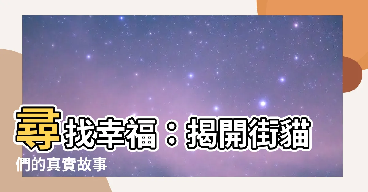 【街貓】尋找幸福：揭開街貓們的真實故事