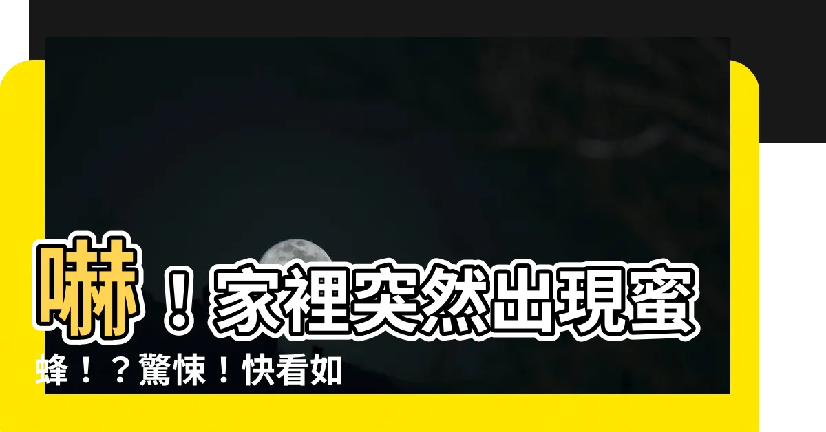 【家裡突然出現蜜蜂】嚇！家裡突然出現蜜蜂！？驚悚！快看如何安全引導牠們出去！