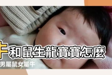 【屬牛屬鼠生什麼寶寶好】牛和鼠生龍寶寶怎麼樣 |男屬鼠女屬牛生什麼屬相的孩子比較好 |屬鼠和屬牛的要個龍寶寶好嗎 |
