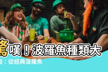 【波羅魚種類】驚嘆！波羅魚種類大觀園：從經典菠蘿魚到罕見品種一次盡覽