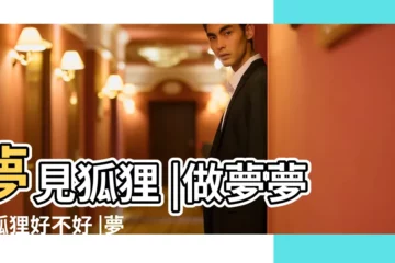 【夢見狐狸跳到身上】夢見狐狸 |做夢夢見狐狸好不好 |夢見狐狸 |