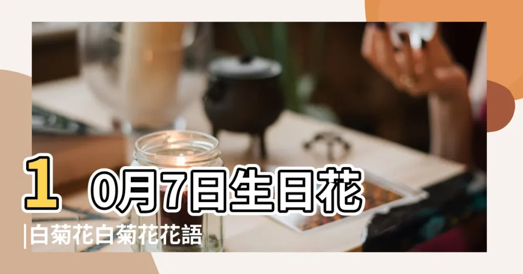10月7日生日花 |白菊花白菊花花語 |10月7日生日花 |【10月7日生日花語】