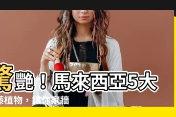 【馬來西亞攀藤植物】驚艷！馬來西亞5大攀藤植物，讓你家牆面綠意盎然