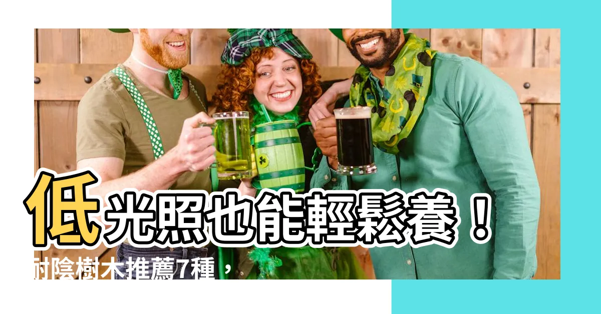 【耐陰樹木】低光照也能輕鬆養！耐陰樹木推薦7種，打造室內綠色環境