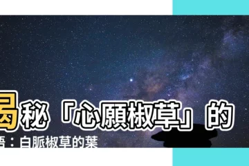 【心願椒草花語】揭秘「心願椒草」的花語：白脈椒草的葉脈願望