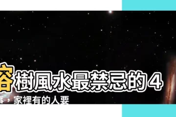 【榕樹風水】榕樹風水最禁忌的４件事，家裡有的人要注意了！