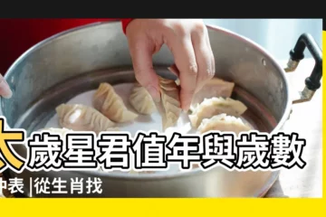 【1996年太歲神】太歲星君值年與歲數對沖表 |從生肖找到你的太歲守護神 |