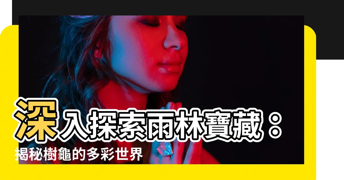 【樹龜】深入探索雨林寶藏：揭秘樹龜的多彩世界