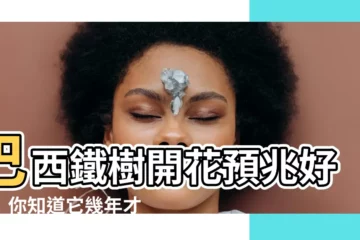 【巴西鐵樹多久開花】巴西鐵樹開花預兆好運！你知道它幾年才會開一次嗎？