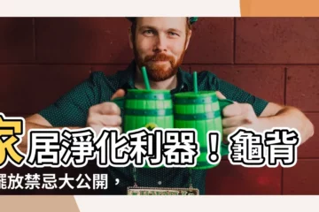 【龜背芋禁忌】家居淨化利器！龜背芋擺放禁忌大公開，避免家中負能量爆棚