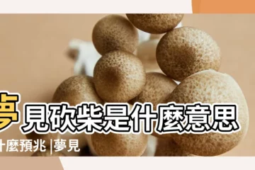 【夢到柴火燒着了孩子】夢見砍柴是什麼意思有什麼預兆 |夢見添柴燒火 |夢見自己燒柴火是什麼意思 |