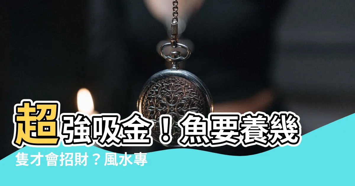 【魚要養幾隻才會招財】超強吸金！魚要養幾隻才會招財？風水專家報你知
