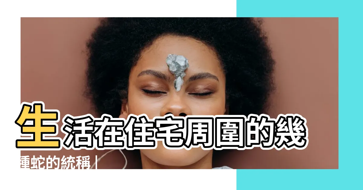 【家 蛇】生活在住宅周圍的幾種蛇的統稱 |