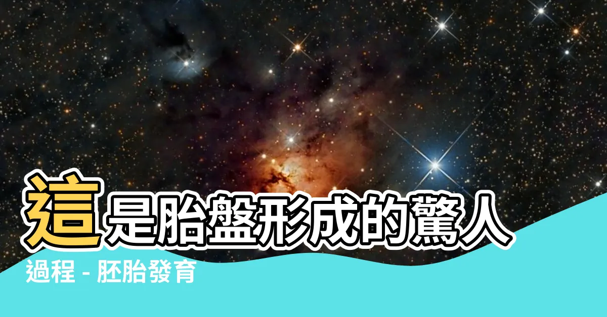 【胎盤是怎麼形成的】這是胎盤形成的驚人過程 - 胚胎發育、生長和胎兒健康的關鍵