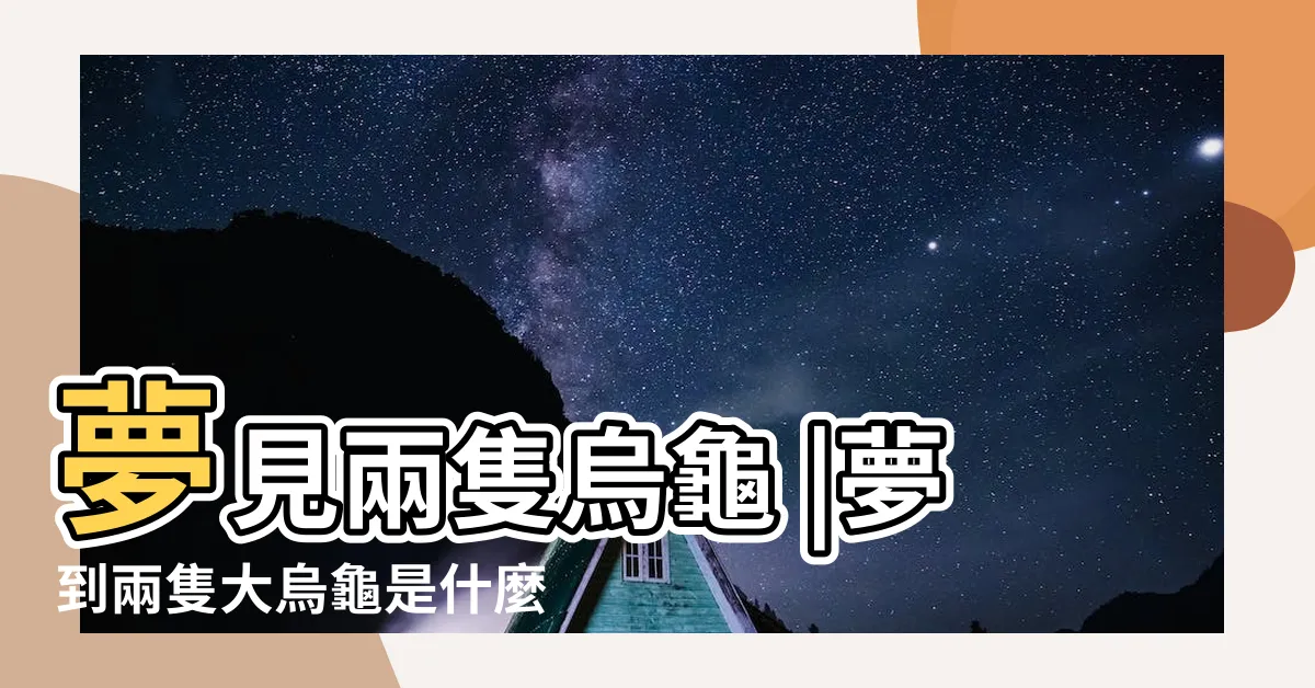 【夢到兩隻烏龜幾號】夢見兩隻烏龜 |夢到兩隻大烏龜是什麼徵兆 |夢境號碼解析結果 |