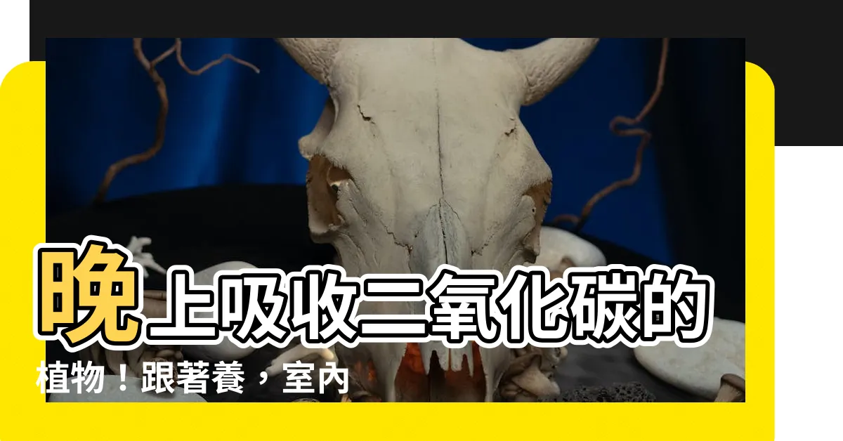 【晚上吸收二氧化碳的植物】晚上吸收二氧化碳的植物！跟著養，室內空氣就會清爽～