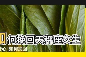 【怎樣晚會天秤座女生】如何挽回天秤座女生的芳心 |如何挽回天秤座女朋友 |怎麼挽回天平座女生 |