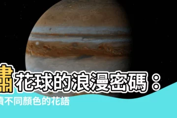 【繡花球】繡花球的浪漫密碼：解讀不同顏色的花語