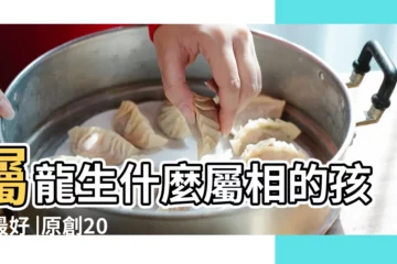 【生肖龍哪一年生孩子】屬龍生什麼屬相的孩子最好 |原創2024龍年懷孕的生肖哪些屬相龍年生孩子好 |00年屬龍適合哪年添丁 |