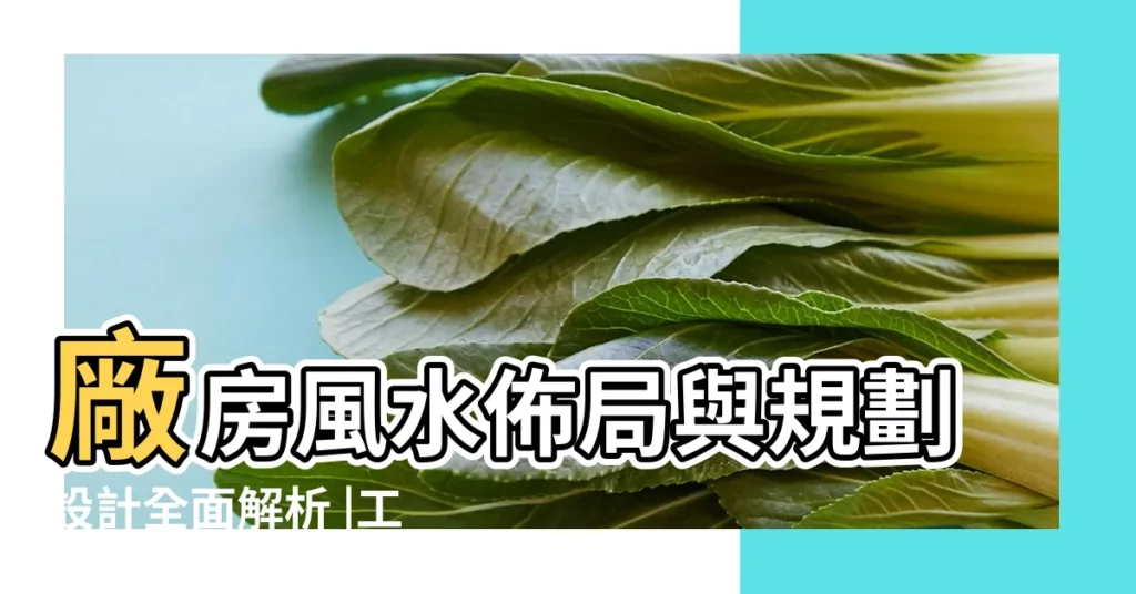 廠房風水佈局與規劃設計全面解析 |工廠風水佈局關係著生意的好壞 |看工廠的風水主要看哪些方面 |【廠房風水格局】
