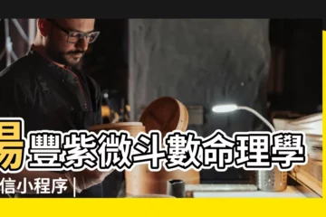 【紫微鬥數公共號】楊豐紫微斗數命理學 |微信小程序 |紫微斗數官方賬號 |